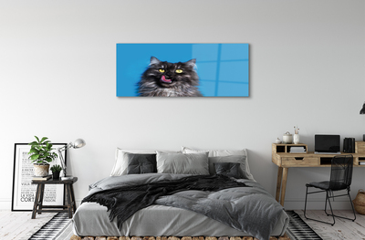 Slika na akrilnem steklu Oblizujący mačka