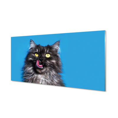 Slika na akrilnem steklu Oblizujący mačka