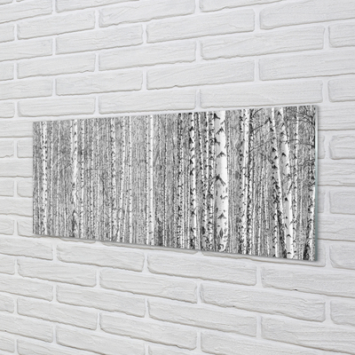 Slika na akrilnem steklu Črno-belo drevo gozd