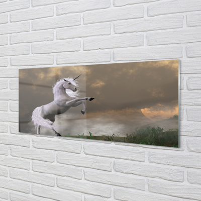 Slika na akrilnem steklu Unicorn vrh