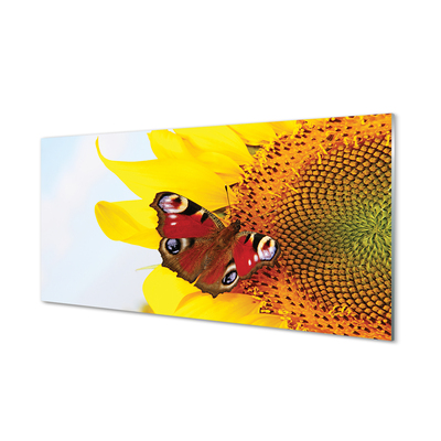 Slika na akrilnem steklu Sončnično metulj