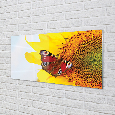 Slika na akrilnem steklu Sončnično metulj