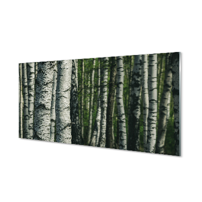 Slika na akrilnem steklu Breza gozd