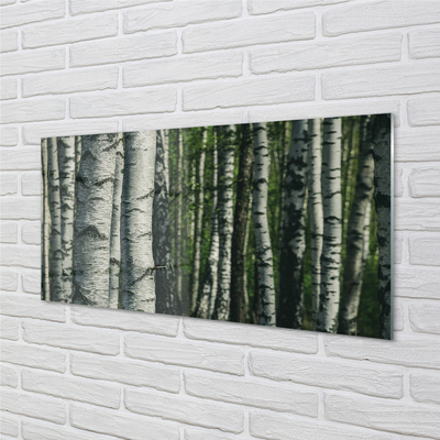 Slika na akrilnem steklu Breza gozd