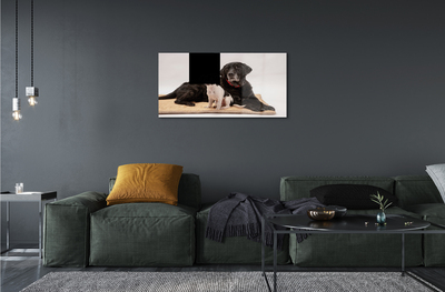 Slika na akrilnem steklu Ležijo psi