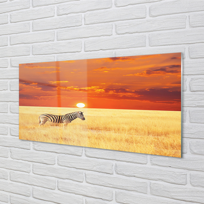 Slika na akrilnem steklu Zebra polje sunset