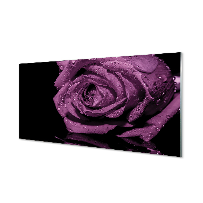 Slika na akrilnem steklu Vijolična vrtnica