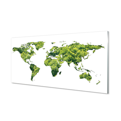 Slika na akrilnem steklu Zemljevid zelene trave