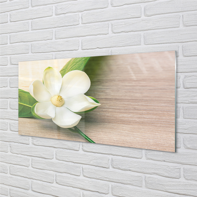Slika na akrilnem steklu Bele magnolije