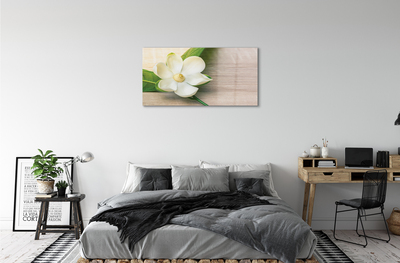 Slika na akrilnem steklu Bele magnolije