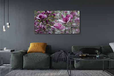 Slika na akrilnem steklu Vijolična magnolija