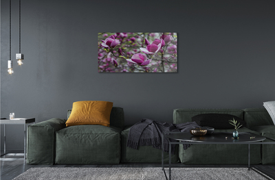 Slika na akrilnem steklu Vijolična magnolija
