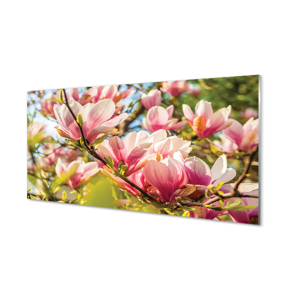 Slika na akrilnem steklu Roza magnolija