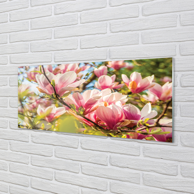 Slika na akrilnem steklu Roza magnolija