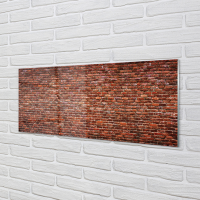 Slika na akrilnem steklu Kamniti zid