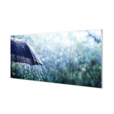 Slika na akrilnem steklu Krovne dež kapljic