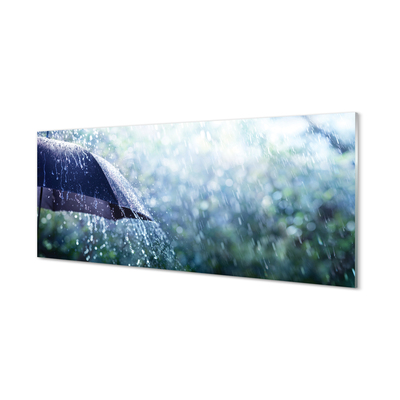 Slika na akrilnem steklu Krovne dež kapljic