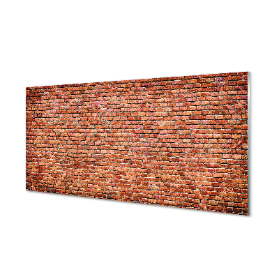Slika na akrilnem steklu Zid zid