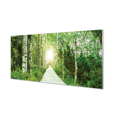 Slika na akrilnem steklu Breza drevo gozdna cesta