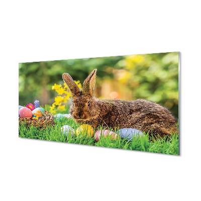 Slika na akrilnem steklu Rabbit jajca travnik