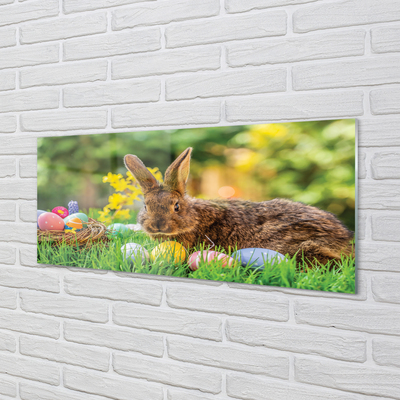 Slika na akrilnem steklu Rabbit jajca travnik