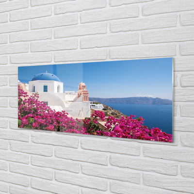 Slika na akrilnem steklu Grčija flowers morske stavbe