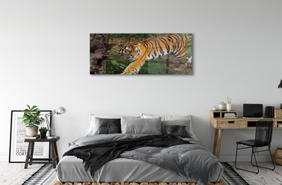 Slika na akrilnem steklu Tiger woods