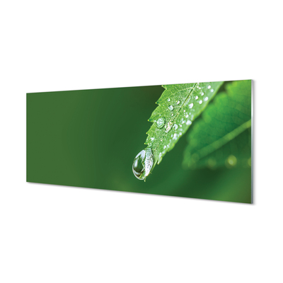Slika na akrilnem steklu Vodni padec leaf