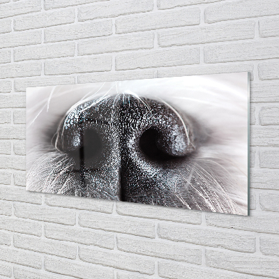 Slika na akrilnem steklu Psu nos