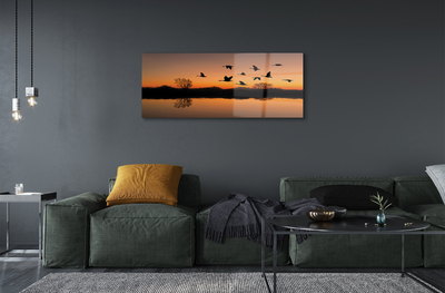 Slika na akrilnem steklu Flying ptice sunset