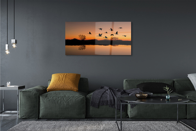 Slika na akrilnem steklu Flying ptice sunset