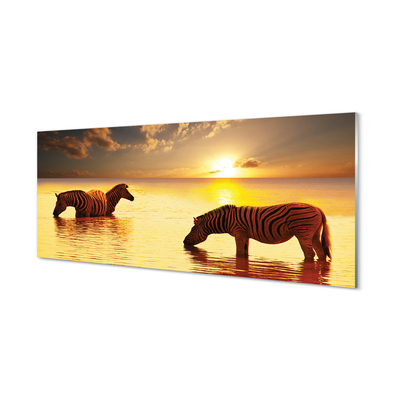 Slika na akrilnem steklu Zebras voda sončni zahod