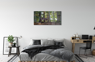 Slika na akrilnem steklu Jelen gozd