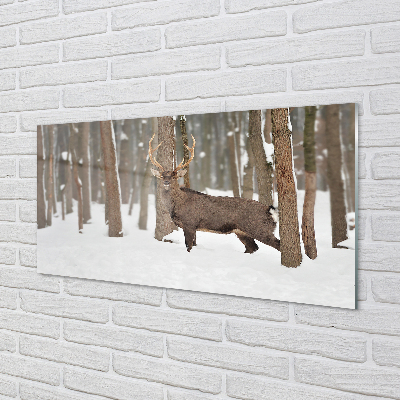 Slika na akrilnem steklu Deer zimski gozd