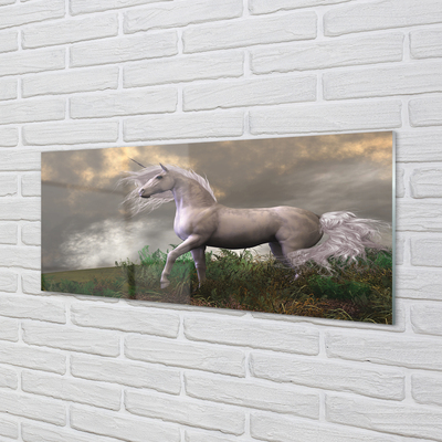 Slika na akrilnem steklu Unicorn oblaki