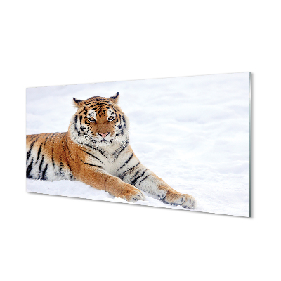 Slika na akrilnem steklu Tiger zima