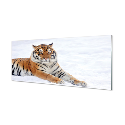Slika na akrilnem steklu Tiger zima