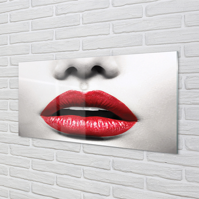 Slika na akrilnem steklu Rdeče ustnice nos ženska