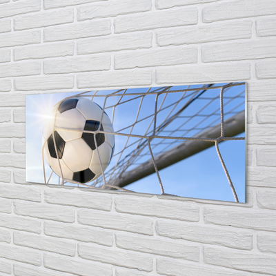 Slika na akrilnem steklu Nebo žogo omrežje