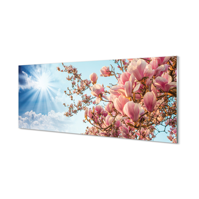 Slika na akrilnem steklu Magnolia nebo sonce