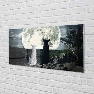 Slika na akrilnem steklu Volkovi luna gozd