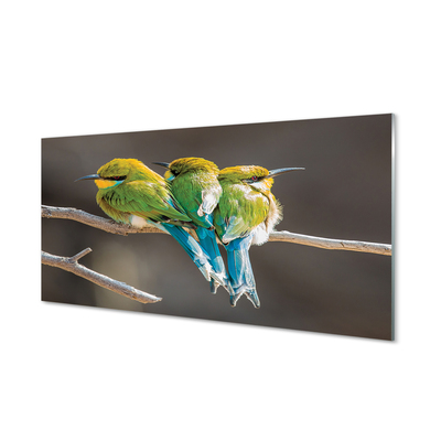 Slika na akrilnem steklu Ptice na veji