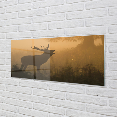 Slika na akrilnem steklu Deer sunrise