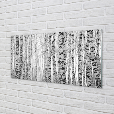 Slika na akrilnem steklu Črno-bele breze