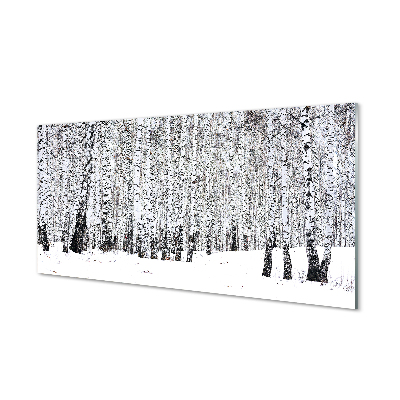 Slika na akrilnem steklu Zimske breze
