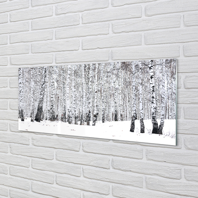 Slika na akrilnem steklu Zimske breze