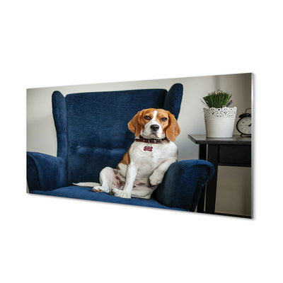 Slika na akrilnem steklu Sedel pes