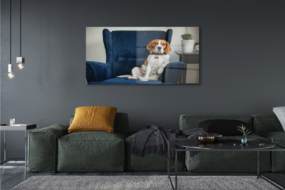 Slika na akrilnem steklu Sedel pes