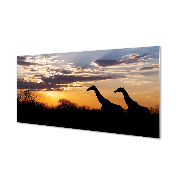 Slika na akrilnem steklu Žirafe drevo oblaki