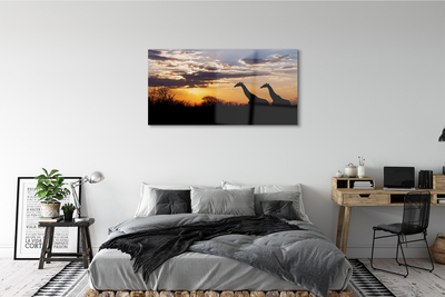 Slika na akrilnem steklu Žirafe drevo oblaki